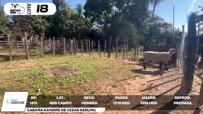Lote LOTE 18- CAMPO