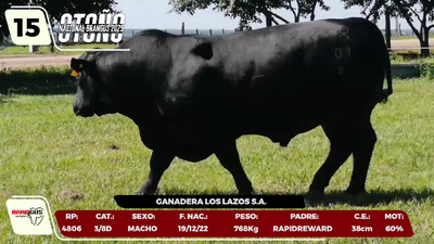 Lote LOTE 15