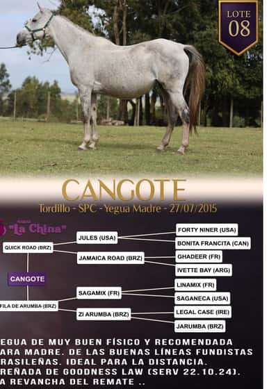 Lote CANGOTE