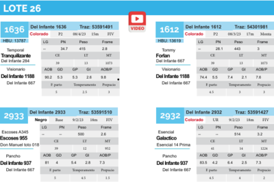 Lote Lote 26