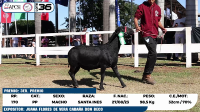 Lote LOTE 36