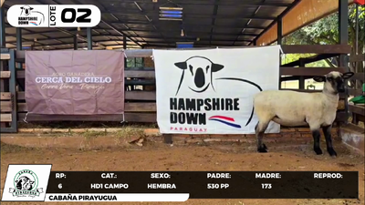 Lote LOTE 2- CAMPO