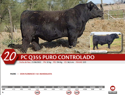 Lote MACHO PC