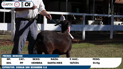 Lote LOTE 1