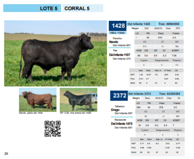 Lote Corral 5