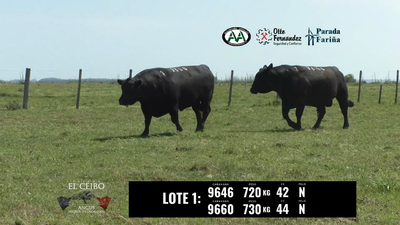 Lote 2 Toros, Artigas