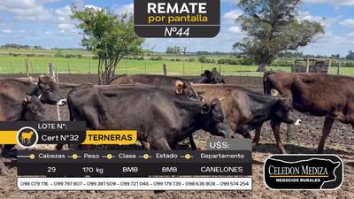 Lote 29 Terneras en Santa Lucía del Este, Canelones