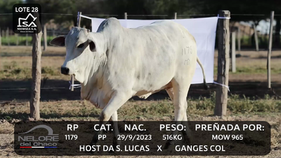 Lote LOTE 28