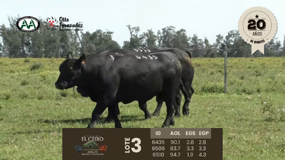 Lote 3 Toros, Artigas