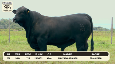 Lote LOTE 27