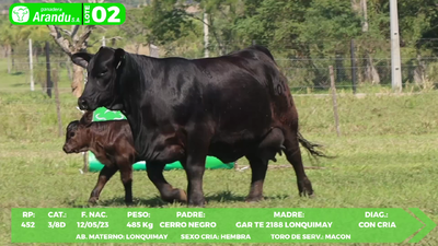 Lote LOTE 2