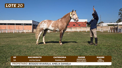 Lote LOTE 20