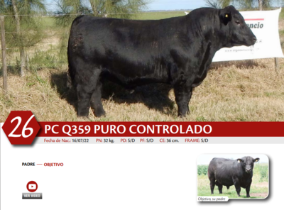 Lote MACHO PP