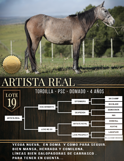  ARTISTA REAL