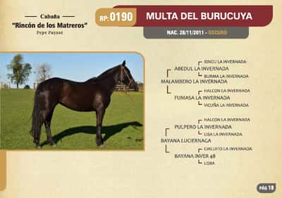 Lote RP. 0190 - MULTA DEL BURUCUYA - RINCON DE LOS MATREROS