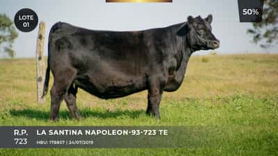 Lote LA SANTINA NAPOLEON-93-723 TE