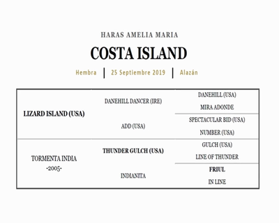 Lote COSTA ISLAND (LIZARD ISLAND - TORMENTA INDIA)