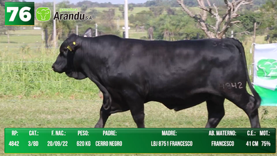 Lote LOTE 76