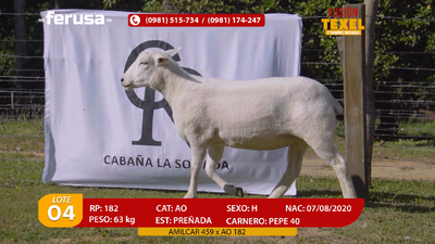 Lote Lote 4