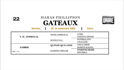 Lote GATEAUX