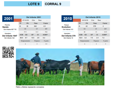 Lote CORRAL 9