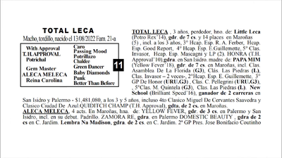 Lote TOTAL LECA