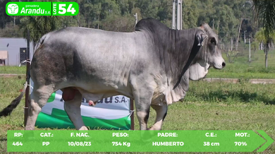 Lote LOTE 54