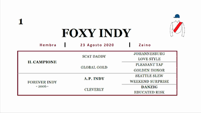 Lote FOXY INDY (IL CAMPIONE - FOREVER INDY)