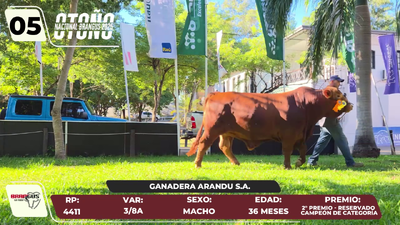 Lote LOTE 5