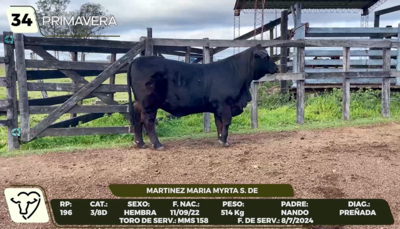 Lote LOTE 34- CAMPO