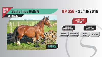 Lote Santa Ines REINA