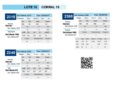 Lote Corral 15