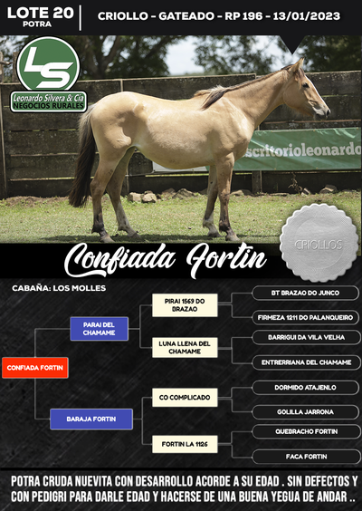 Lote CONFIADA FORTIN