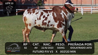 Lote LOTE 23