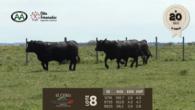 Lote 3 Toros, Artigas
