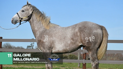 Lote Lote 11