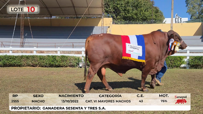 Lote LOTE 10