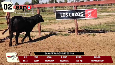 Lote LOTE 2