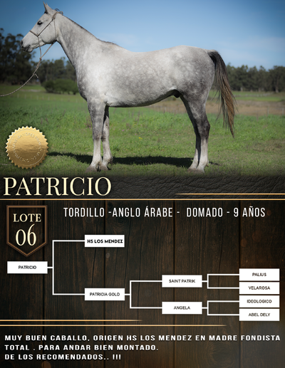  PATRICIO