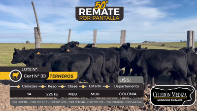 Lote 14 Terneros en Tarariras, Colonia