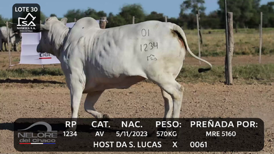 Lote LOTE 30