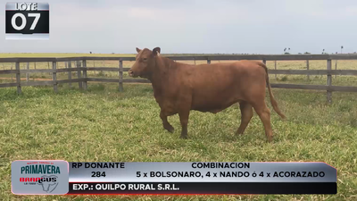 Lote LOTE 7