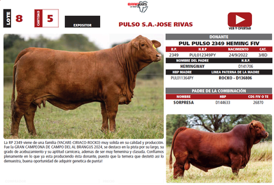 Lote LOTE 8