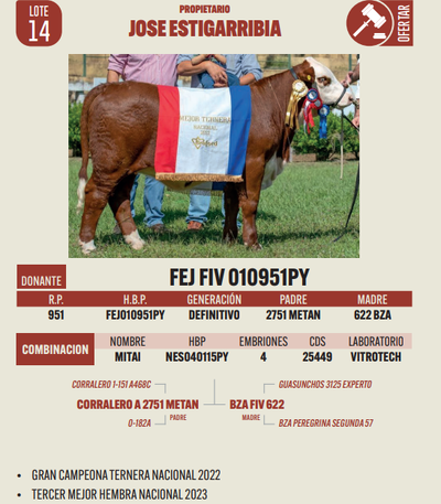 Lote LOTE 14