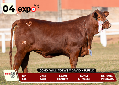 Lote LOTE 4