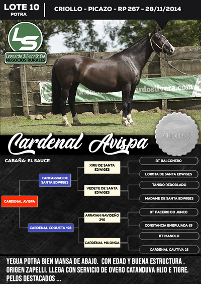 Lote CARDENAL AVISPA