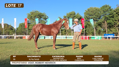 Lote LOTE 17