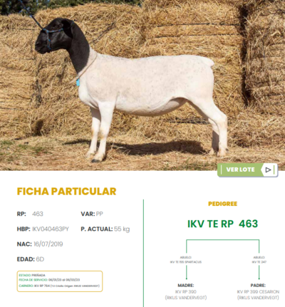 Lote LOTE 45