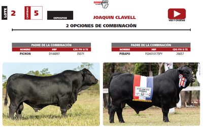 Lote LOTE 2