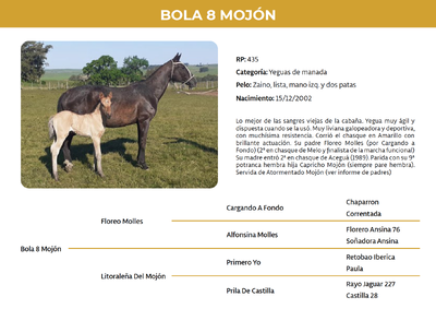 Lote Bola 8 Mojón (RP 435)